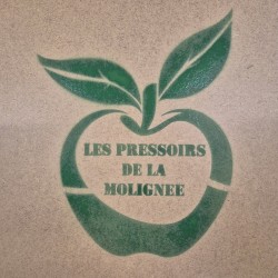 Pochoir sur mesure pour marquage